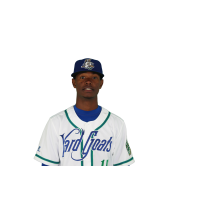 Hartford Yard Goats OF Raimel Tapia
