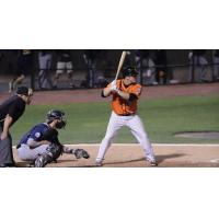 Matt Wessinger of the Long Island Ducks