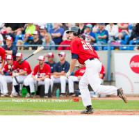 Victoria HarbourCats OF Ben Polshuk