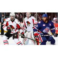 Binghamton Senators vs. the Rochester Americans