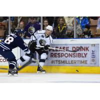 Monarchs Sign Matt Leitner for 2016-17 Season