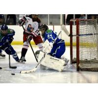 Nicole Stock Signs with Connecticut Whale