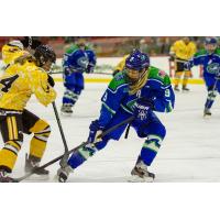 Olympic Veteran Molly Engstrom Signs with Connecticut Whale