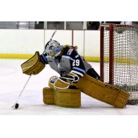 Brianne McLaughlin Signs with Buffalo Beauts