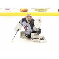 Jackals Sign Cornell Product Andy Iles