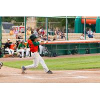 Bullfrogs Defeat Kingfish 10-5 in Season Series Finale