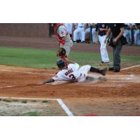 Astros Fall to Cardinals, 7-3