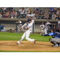 Patriots Hammer Blue Crabs for 10-2 Win