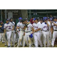 Gulls Troy Dixon Wins NECBL MVP