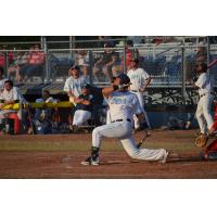Newark Pilots Cullen, Fragale Named to 2016 All-PGCBL Second Team