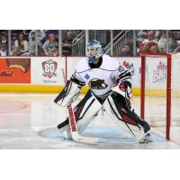 Goaltender Mark Dekanich Signed to AHL Contract