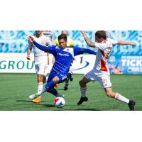 FC Edmonton Heads to Tampa Bay in Search of Fifth Straight Win