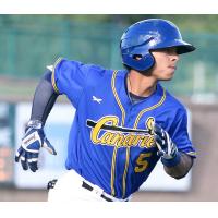 Saltdogs Pound out 19 Hits, Rout Canaries 13-5