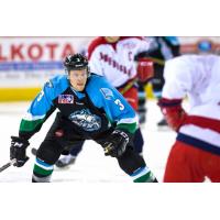 Speedy Breton, Relentless Perfetto Return to Alaska