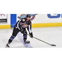 Defenseman Chris Bradley Joins Solar Bears for First Full Season