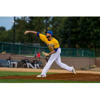 Canaries Can't Quite RedHawks Bats in Series Finale, Fall 12-5