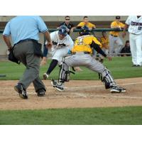 Bees Rally Late for 11-9 Win over Patriots