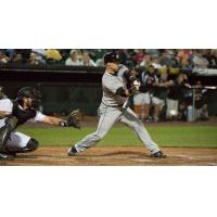 Ducks Split Twinbill with Barnstormers