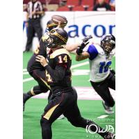 Barnstormers Bolster Offense with QB