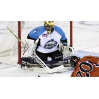 Free Agent Goaltender Summerhays Signs with Oilers