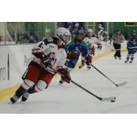 New York Riveters Announce Practice Players for 2016-17 Season