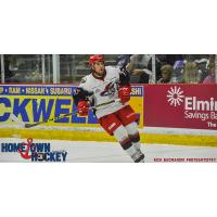 Seidel Added to Admirals
