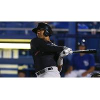 Torres, Yankees Win Pivotal Game 1 in Dunedin, 2-1 in 13 Innings