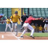 Rascals Drop Game Three and Remain One Win from Championship Series
