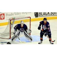 Eagles Land ECHL Defenseman of the Year Matt Register