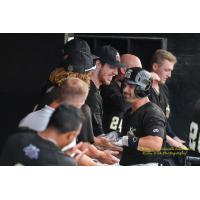 Rascals Open up Championship Series in Evansville
