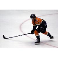 The Havoc Sign Former ECAC West Player of the Year