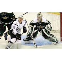 Steelheads Add Forward Anthony Luciani