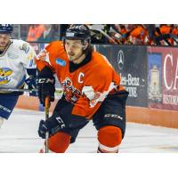 Schaafsma Named Player/Assistant Coach