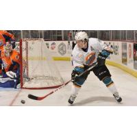 Jackals Sign ECHL All-Star