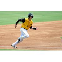 Anderson and Castillo 2016 Marlins Minor League Award Winners