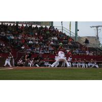 Rafters Announce Ticket Package Pricing and Renewal Information for 2017 Season