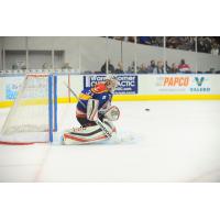 K-Wings Acquire Former NHL Draft Pick in Trade with Norfolk