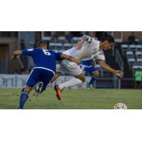 Rhinos Playoff Match Preview
