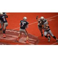 Edge Re-Sign QB Holbrook