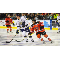 Stampede Fall to Lancers, 6-3