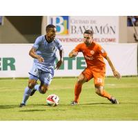 Loons Draw in Puerto Rico