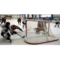 Gladiators Drop Preseason Finale with 5-1 Loss to Greenville