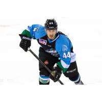 Aces Get Five Players from Utica Camp