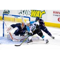 Rays Sting Alaska in Overtime in Exhibition Game
