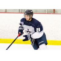 Storm Acquires High-Scoring Defenseman Joseph Campolieto from NAHL