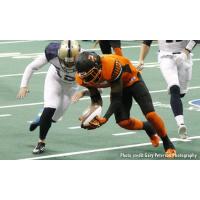 Empire Re-Signs Db Lorenzo White Jr.