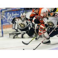 Komets to Open 65th Season at Quad City Friday