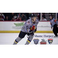 Shane Harper Becomes 600th Former ECHL Player to Reach NHL