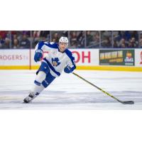 Four Additions Made to Solar Bears Training Camp Roster