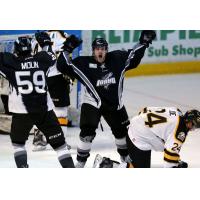 Steelheads Announce Opening Day Roster
